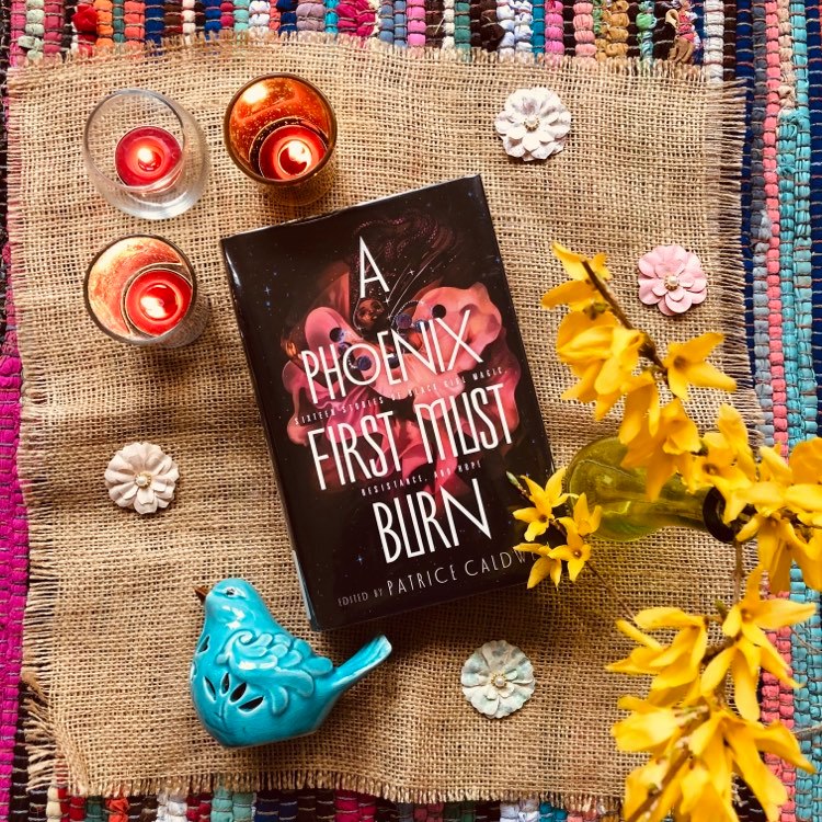 You are currently viewing YA Fantasy Book Review: A Phoenix First Must Burn