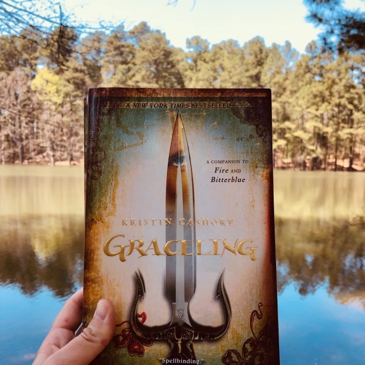 Read more about the article YA Fantasy Book Review: Graceling