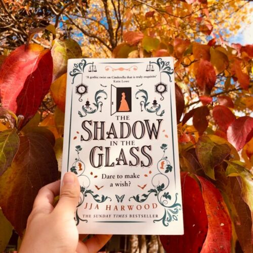 Read more about the article Cinderella Fairytale Book Review: The Shadow in the Glass
