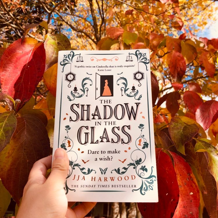 You are currently viewing Cinderella Fairytale Book Review: The Shadow in the Glass