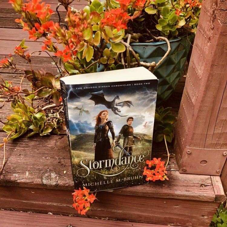 You are currently viewing YA Dragon Fantasy Book Review: Stormdance