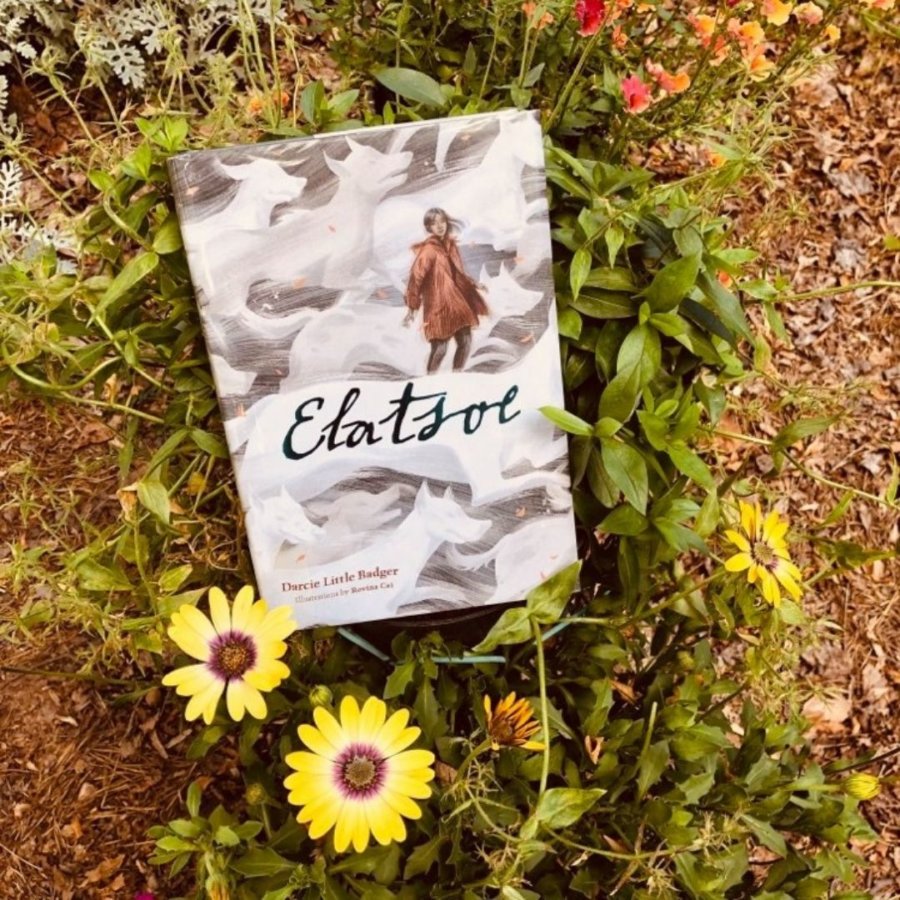 Read more about the article YA Fantasy Book Review: Elatsoe