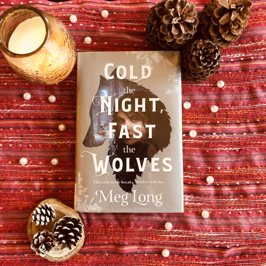 Read more about the article YA Fantasy Book Review: Cold the Night, Fast the Wolves