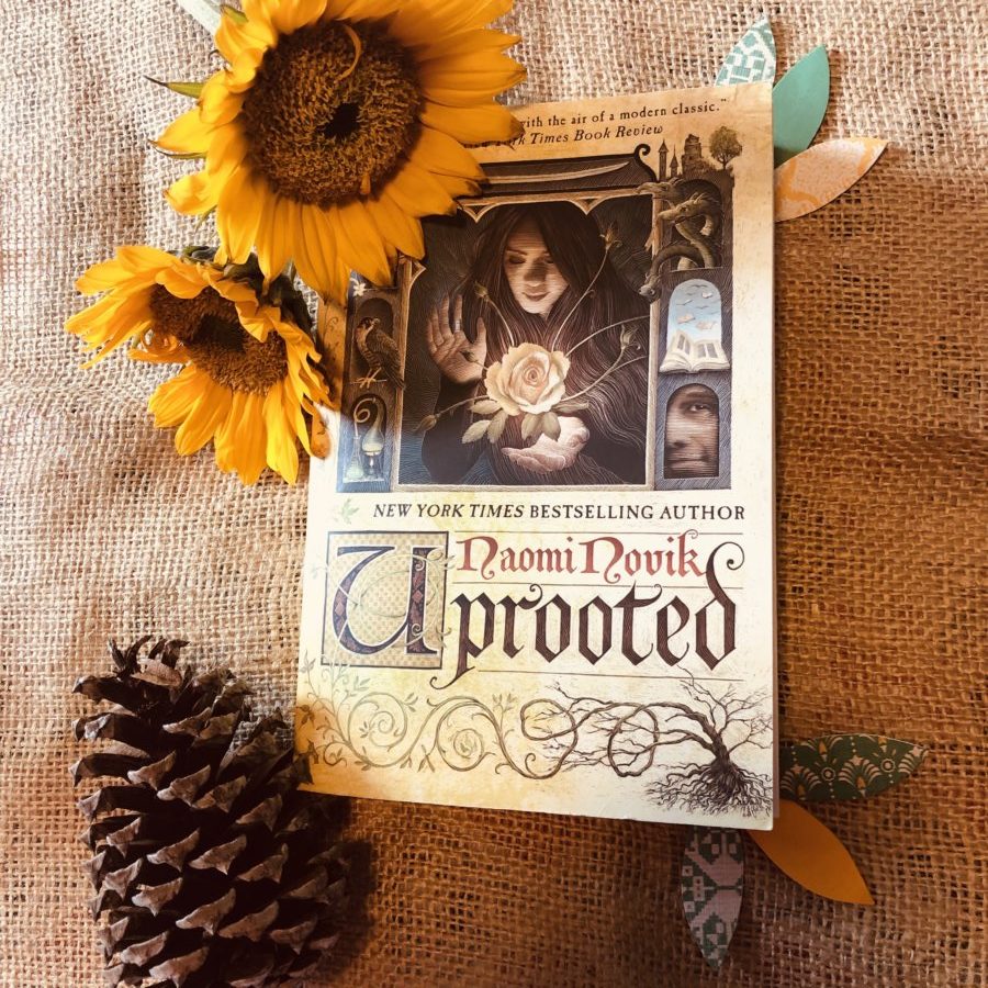 uprooted book review reddit