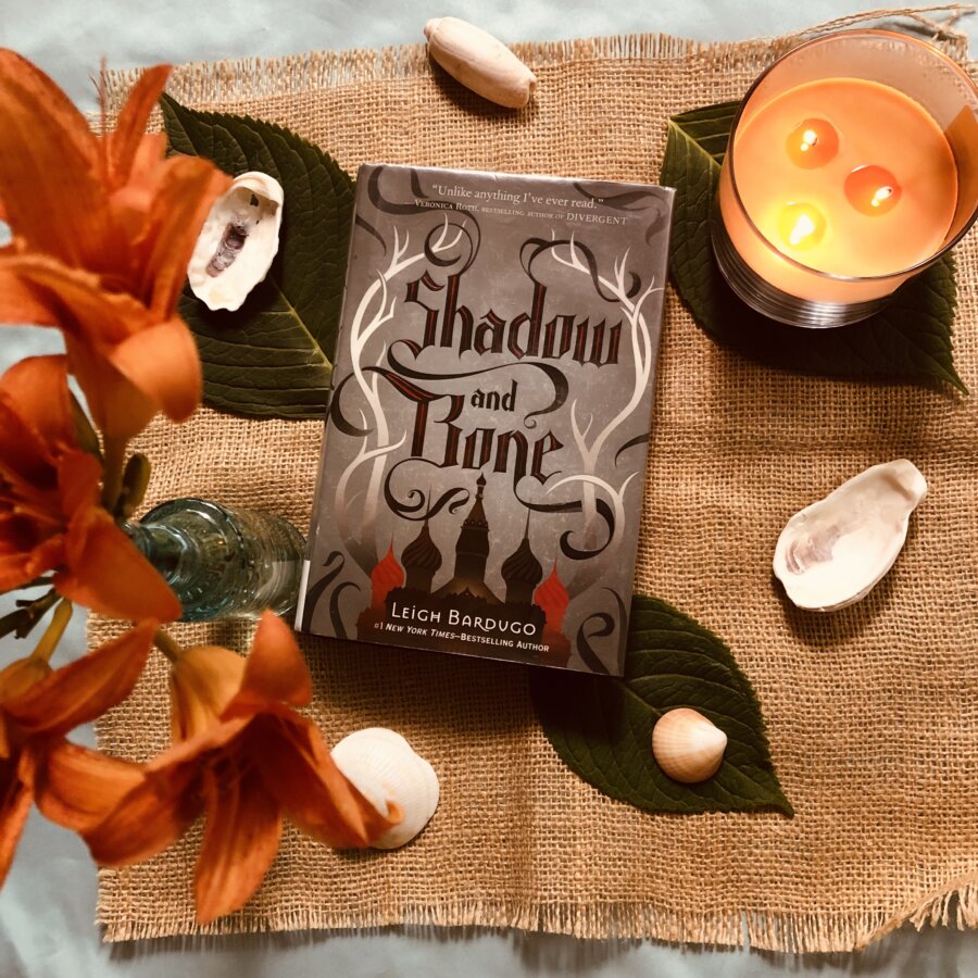 Read more about the article YA Fantasy Book Review: Shadow and Bone/Siege and Storm