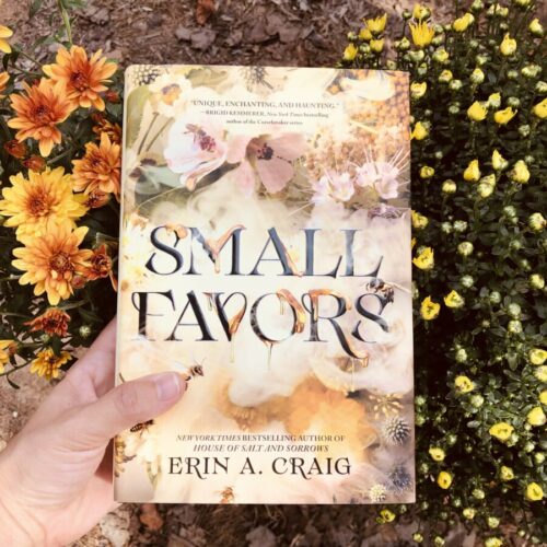 Read more about the article YA Fantasy Book Review: Small Favors