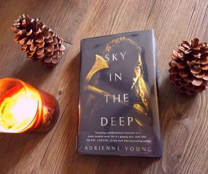 Read more about the article Sky in the Deep Book Review