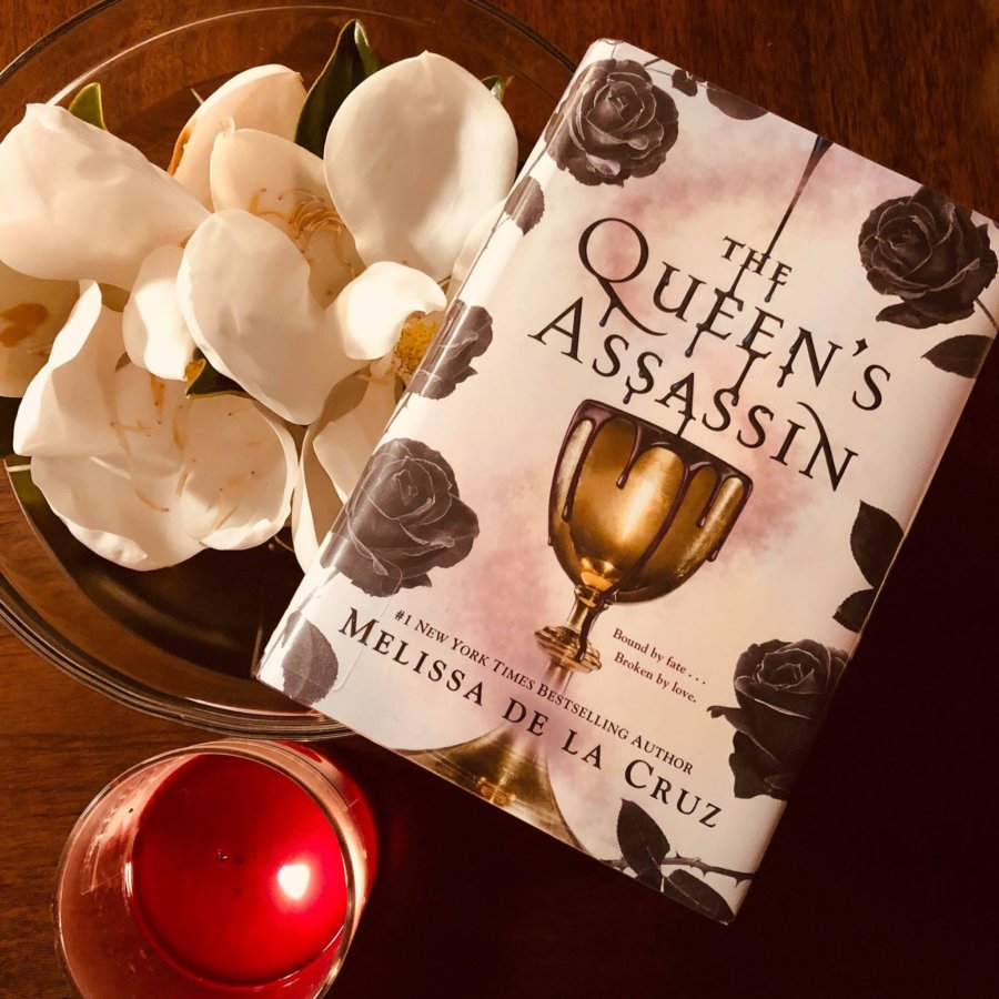 Read more about the article The Queen’s Assassin Book Review