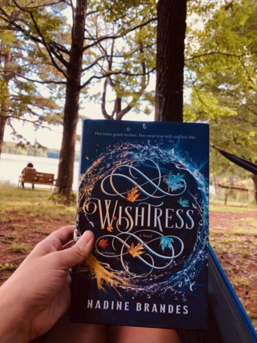 Read more about the article YA Fantasy Book Review: Wishtress